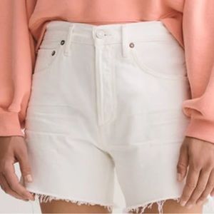 NWT Agolde Relaxed Fit High Rise Denim Cutoff Shorts